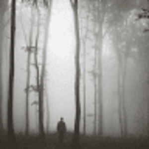 Meet your Posher, Kali